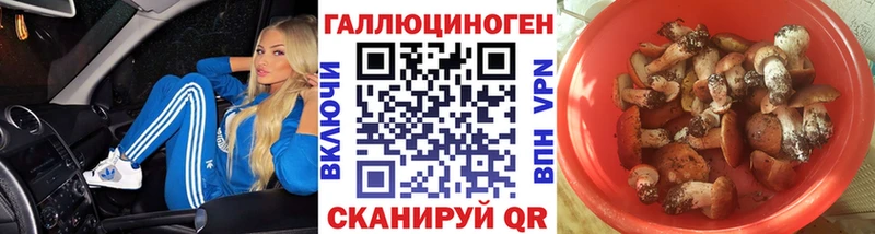 OMG ССЫЛКА  Берёзовка  Псилоцибиновые грибы Psilocybine cubensis  где купить  